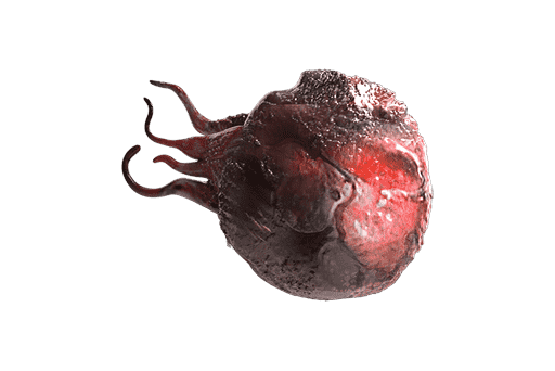 Dendrite Blastoma