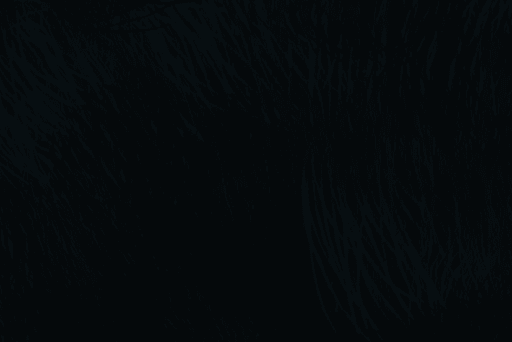 Void Black